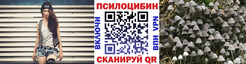Псилоцибиновые грибы Magic Shrooms  kraken ТОР  Верхний Уфалей 
